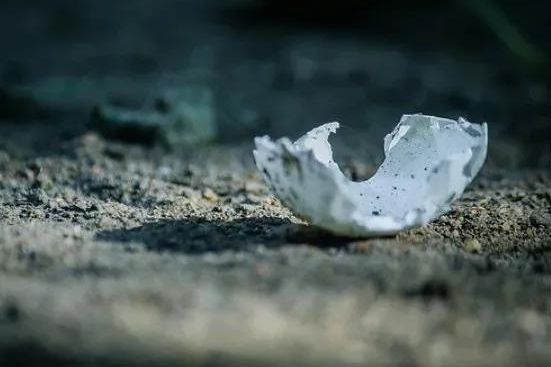 場景暴雷，金融買單：場景金融的風(fēng)控蛋殼碎了嗎？