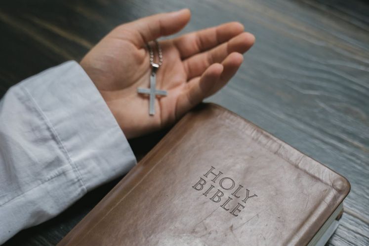 向死而生:千瘡百孔的凱迪生態何以實現自我救贖!